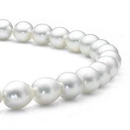 White South Sea Oval