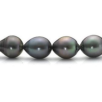 Black South Sea Drop